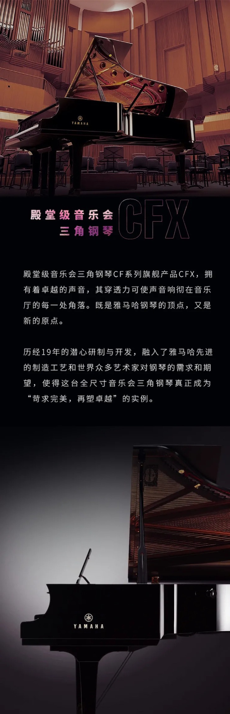 活动预告|2020菲彩国际亚洲音乐奖学金来了！