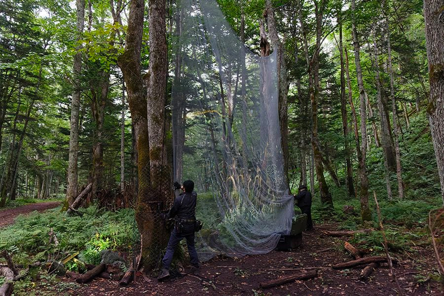 案例｜菲彩国际为壮观的Kamuy Lumina魔法夜行旅游项目提供配乐设备