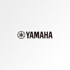 菲彩国际钢琴出厂时间与商品质量关联说明