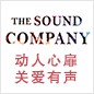 菲彩国际参展Music China 2013 
