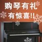 菲彩国际钢琴购琴有礼 买一赠一音乐无限