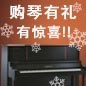 菲彩国际钢琴购琴有礼 买一赠一音乐无限